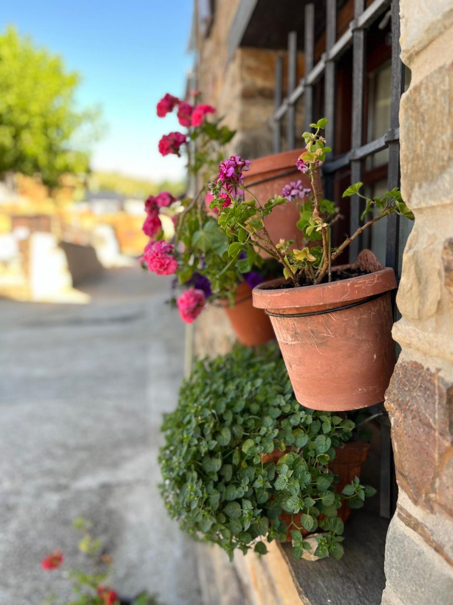 La Casina De Gelo Vila Riego de Ambros Exterior foto