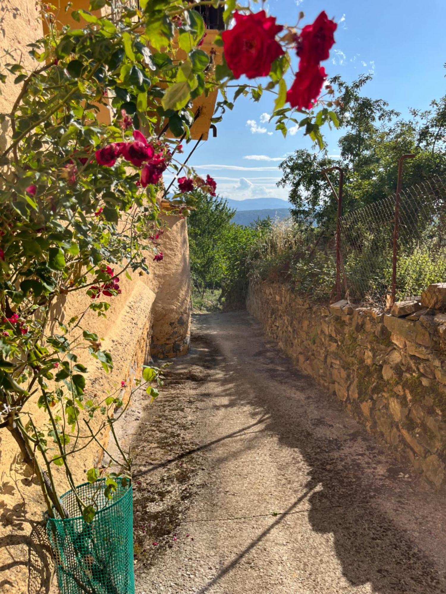 La Casina De Gelo Vila Riego de Ambros Exterior foto